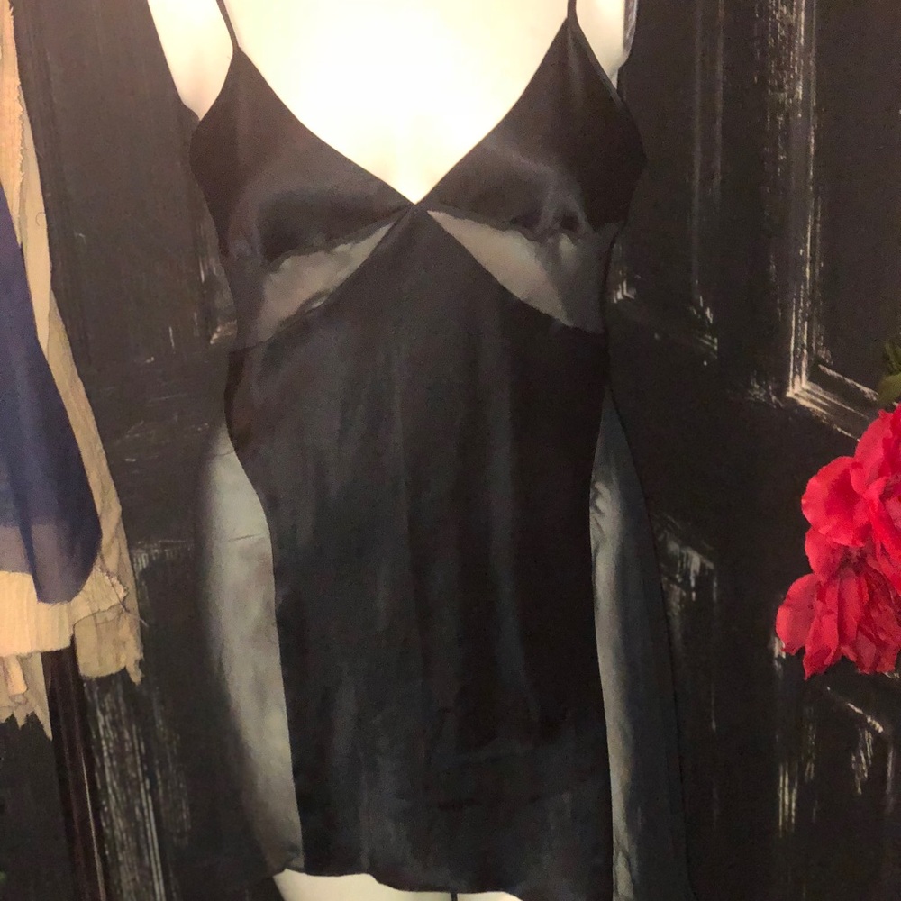 Satin and sheer vintage slip